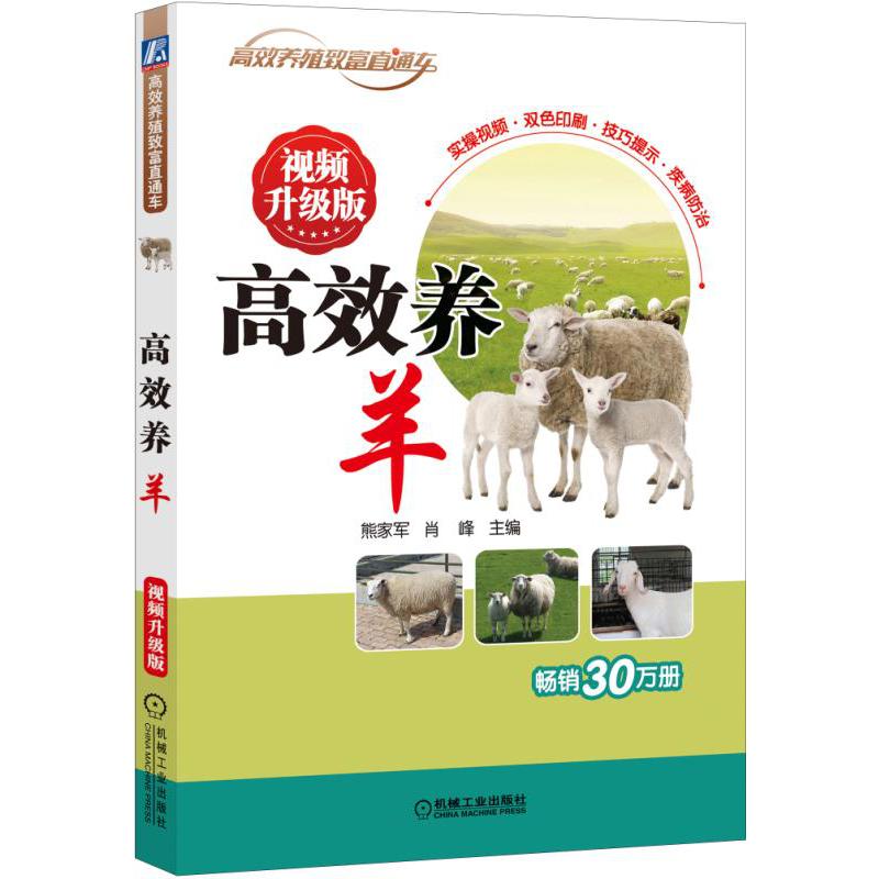 高效养羊(视频升级版)/高效养殖致富直通车