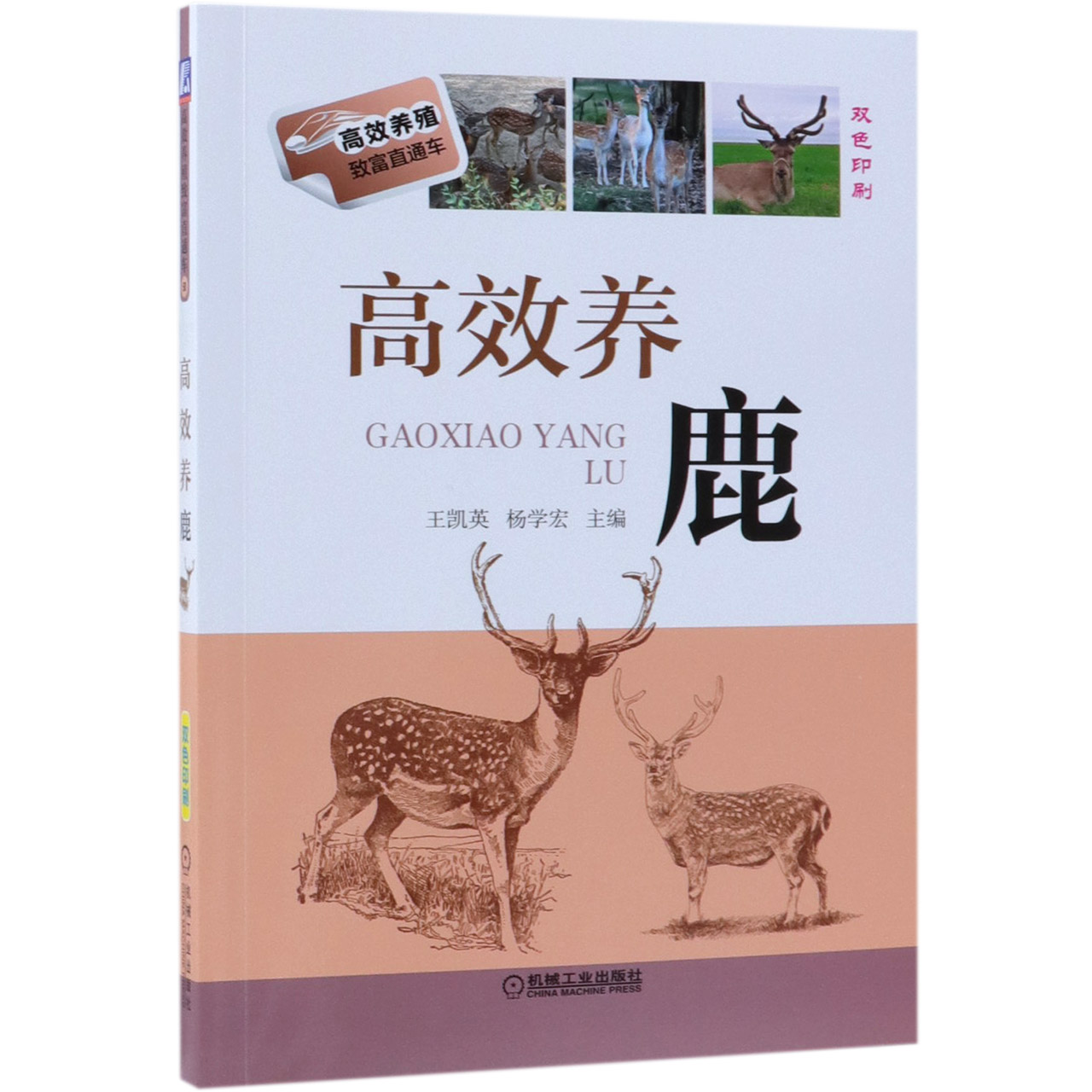 高效养鹿(双色印刷)/高效养殖致富直通车