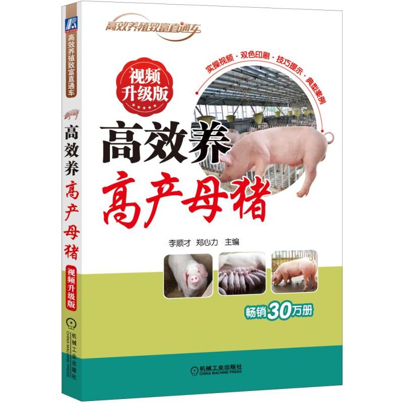 高效养高产母猪(视频升级版)/高效养殖致富直通车