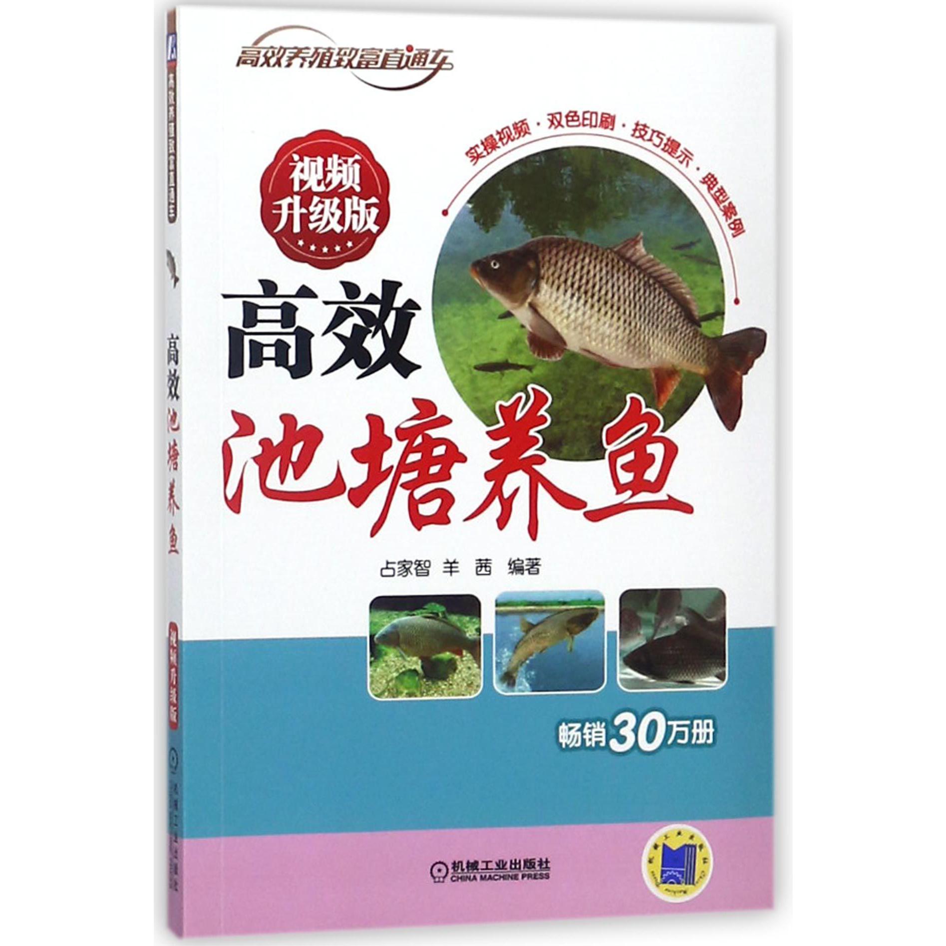 高效池塘养鱼(视频升级版)/高效养殖致富直通车