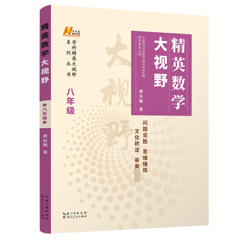 精英数学大视野(8年级第3版)/学科精英大视野系列丛书