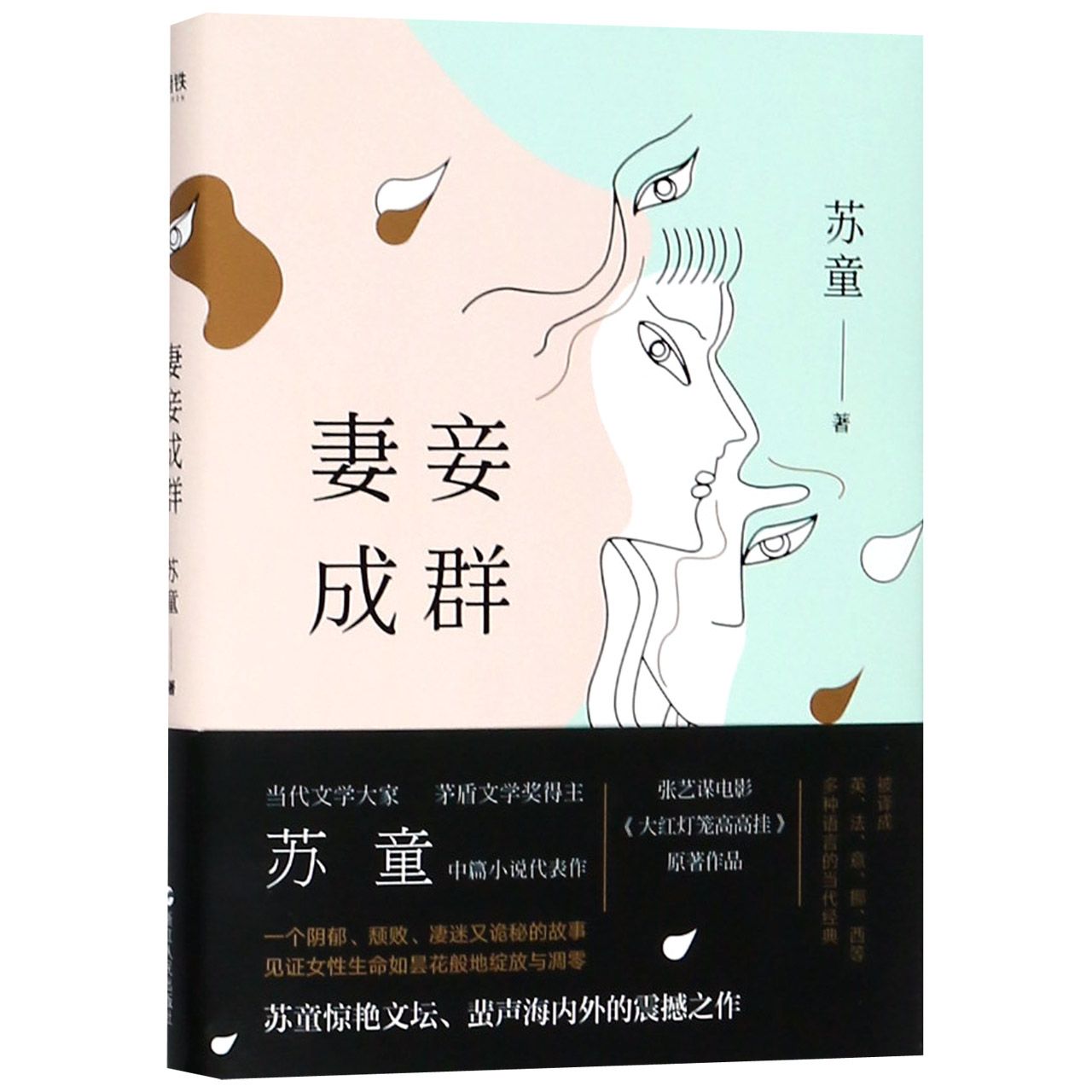 妻妾成群(精)