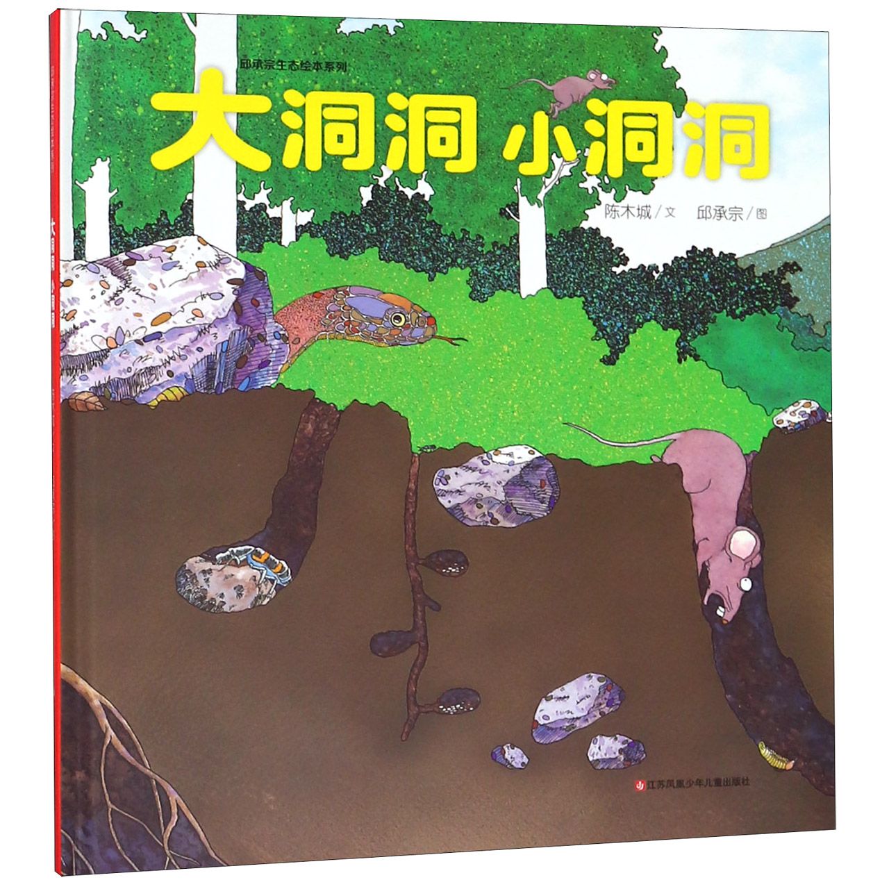 大洞洞小洞洞(精)/邱承宗生态绘本系列