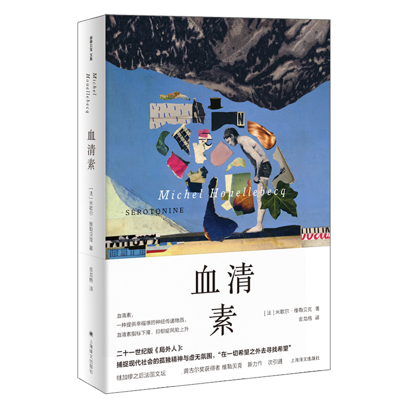 血清素（维勒贝克作品系列）