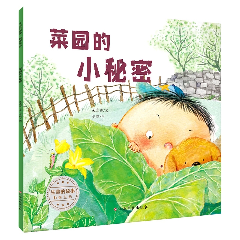 生命的故事 触摸生命——菜园的小秘密