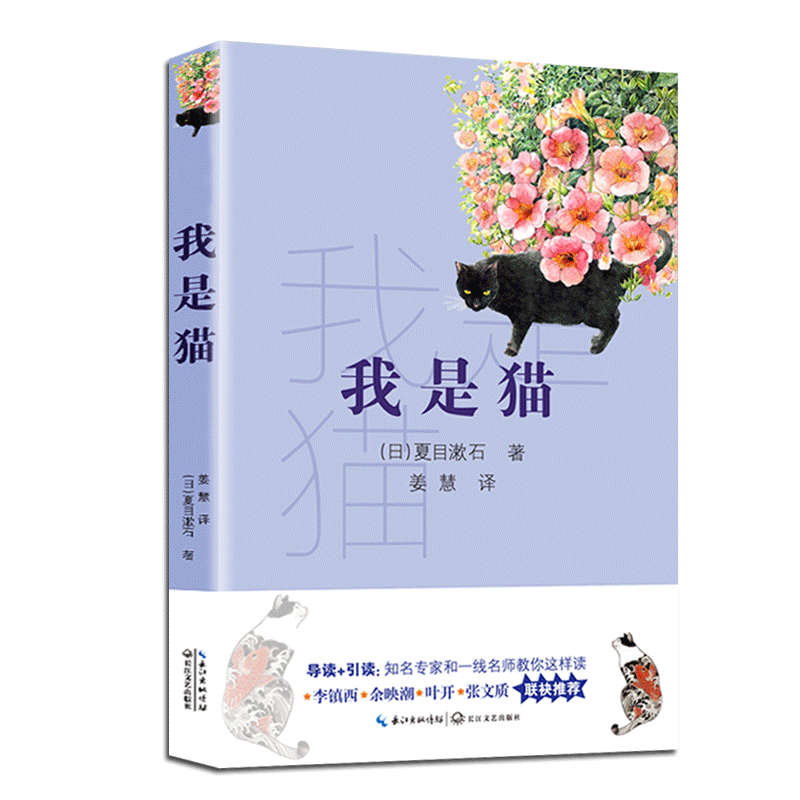 我是猫