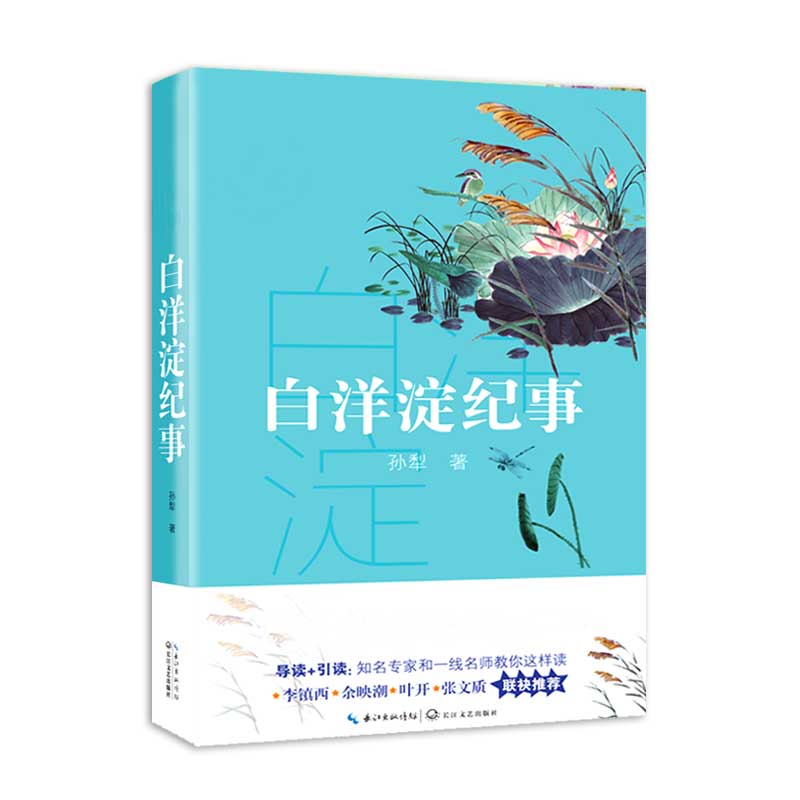 白洋淀纪事