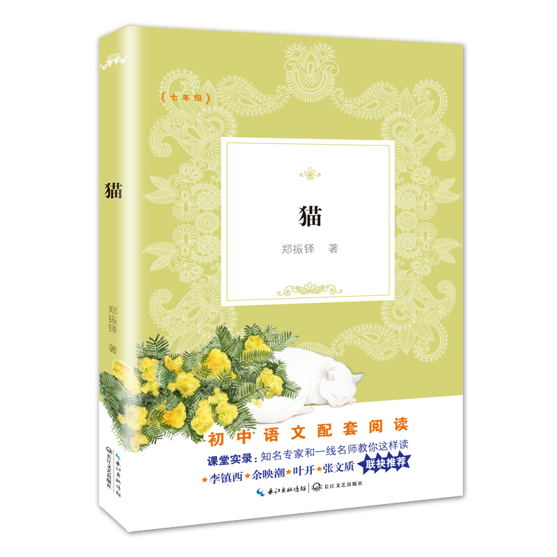 猫(7年级)