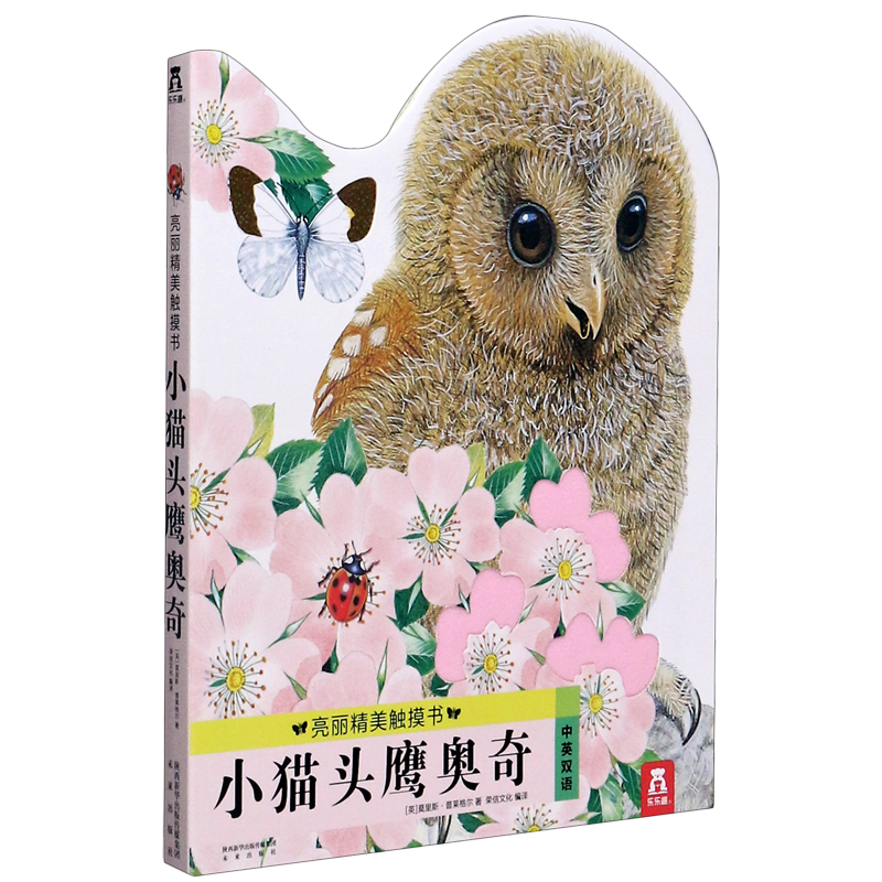 小猫头鹰奥奇(中英双语)/亮丽精美触摸书