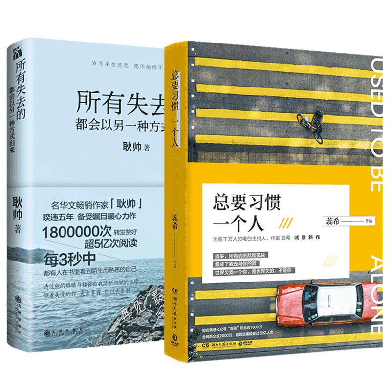 所有失去的都会以另一种方式归来&总要习惯一个人 2册