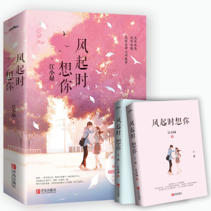 风起时想你