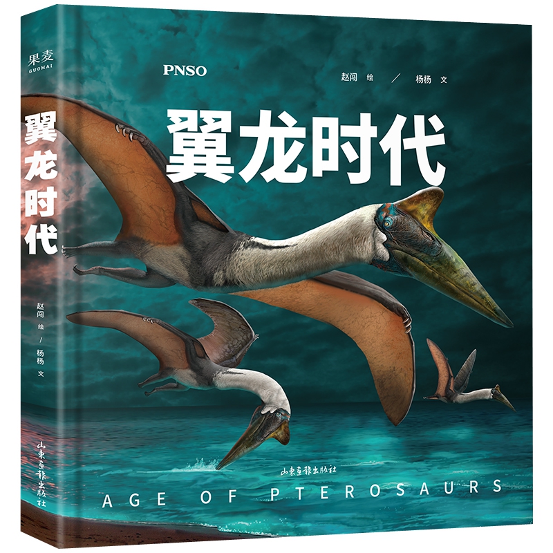 翼龙时代