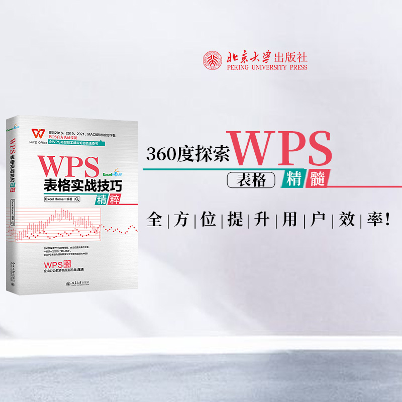 WPS表格实战技巧精粹