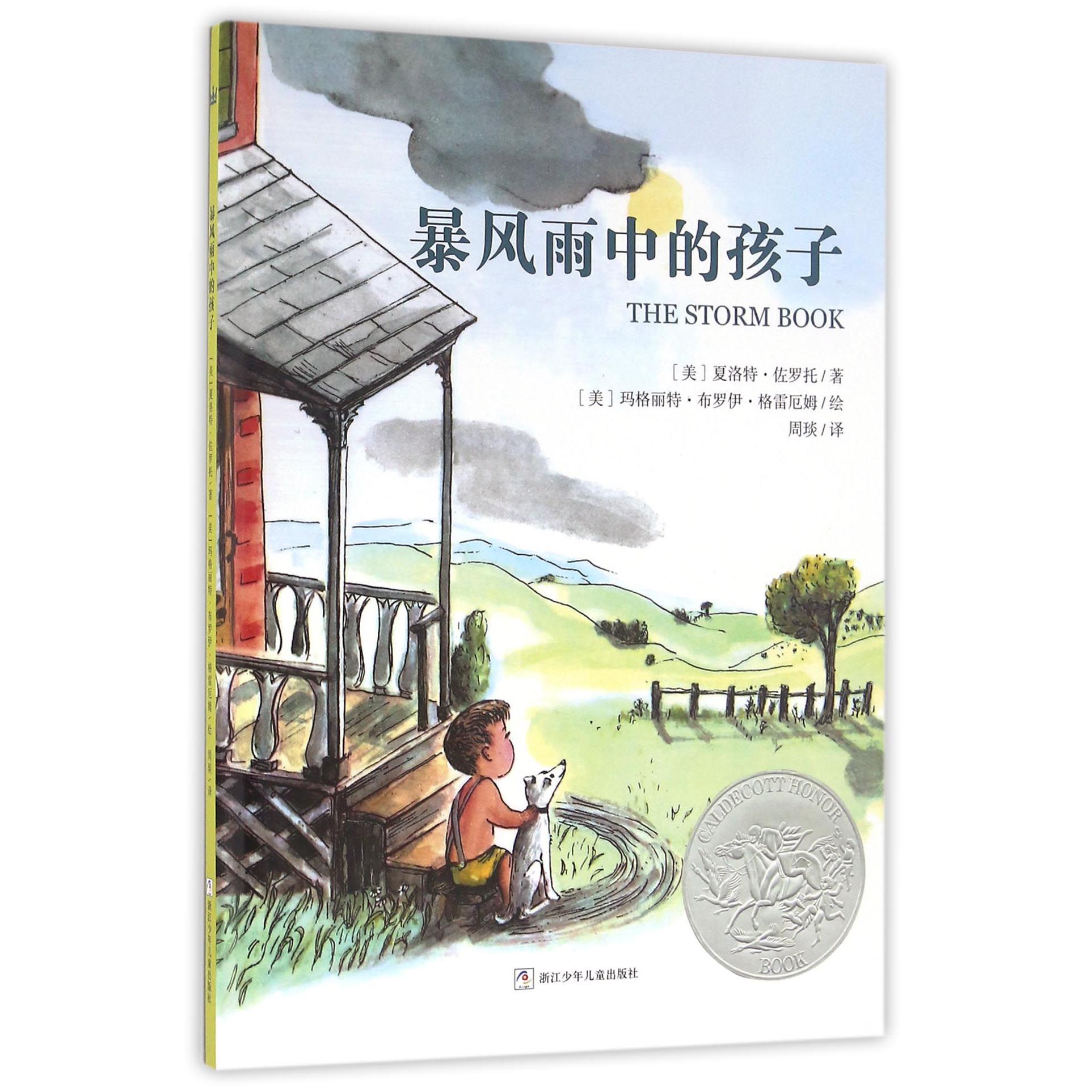 暴风雨中的孩子(精)