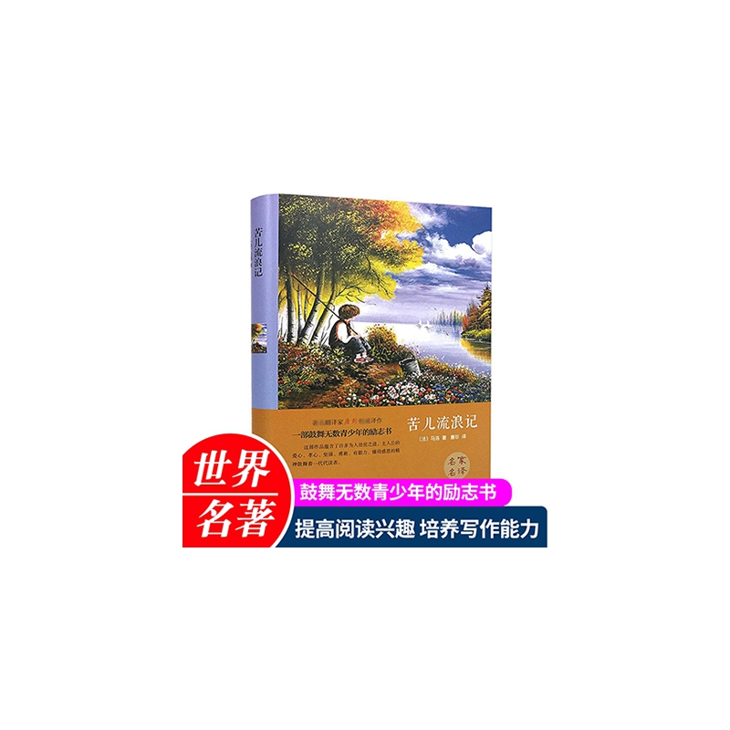 苦儿流浪记(精)