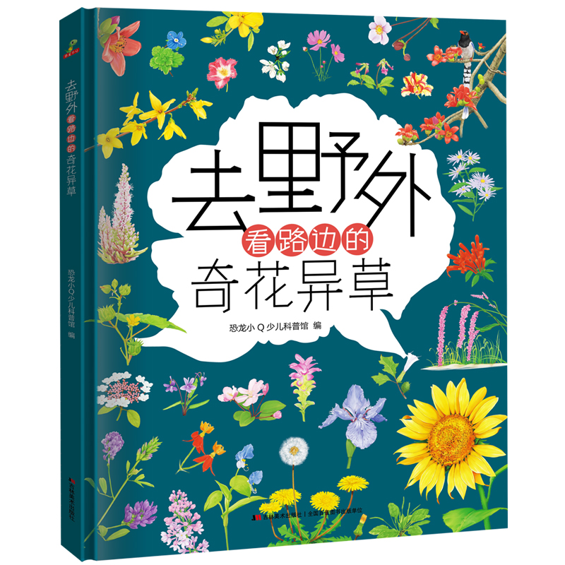 去野外——看路边的奇花异草（精装）