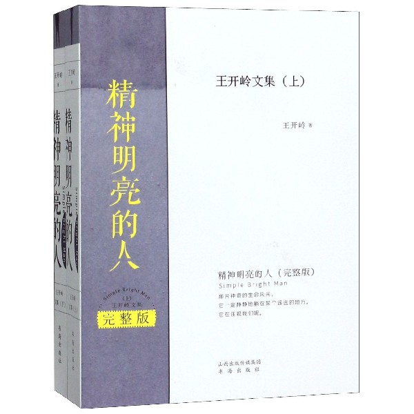 精神明亮的人(王开岭文集完整版上下)