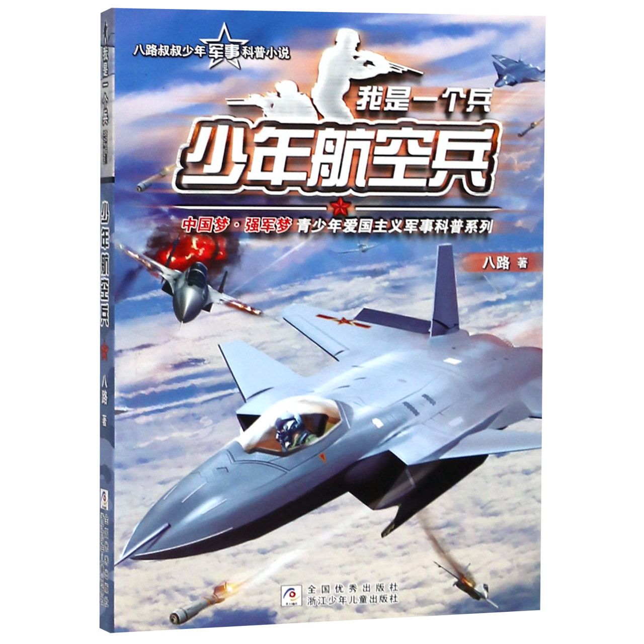 少年航空兵/我是一个兵