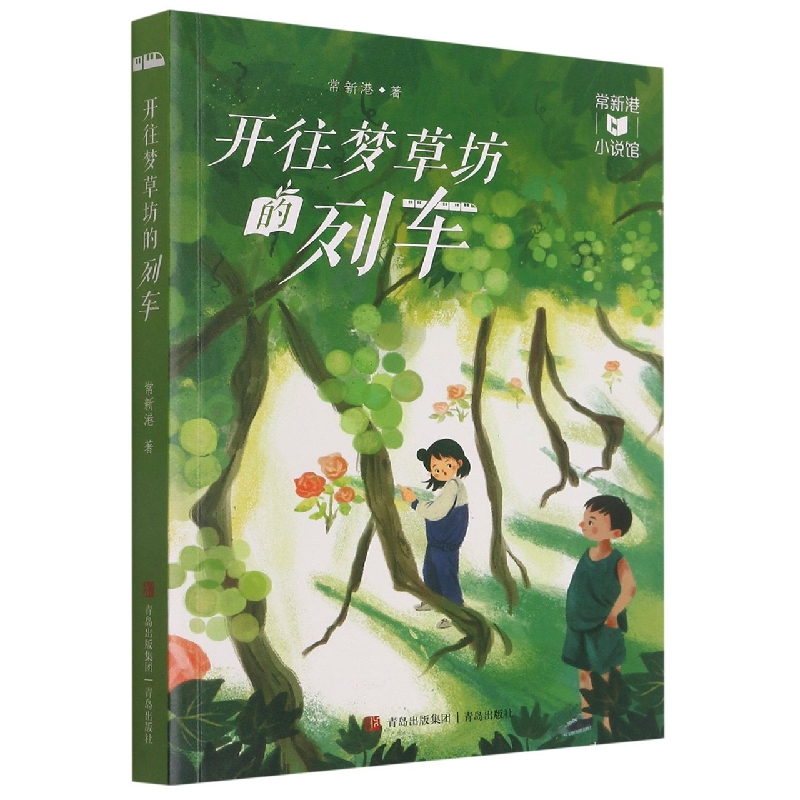 开往梦草坊的列车