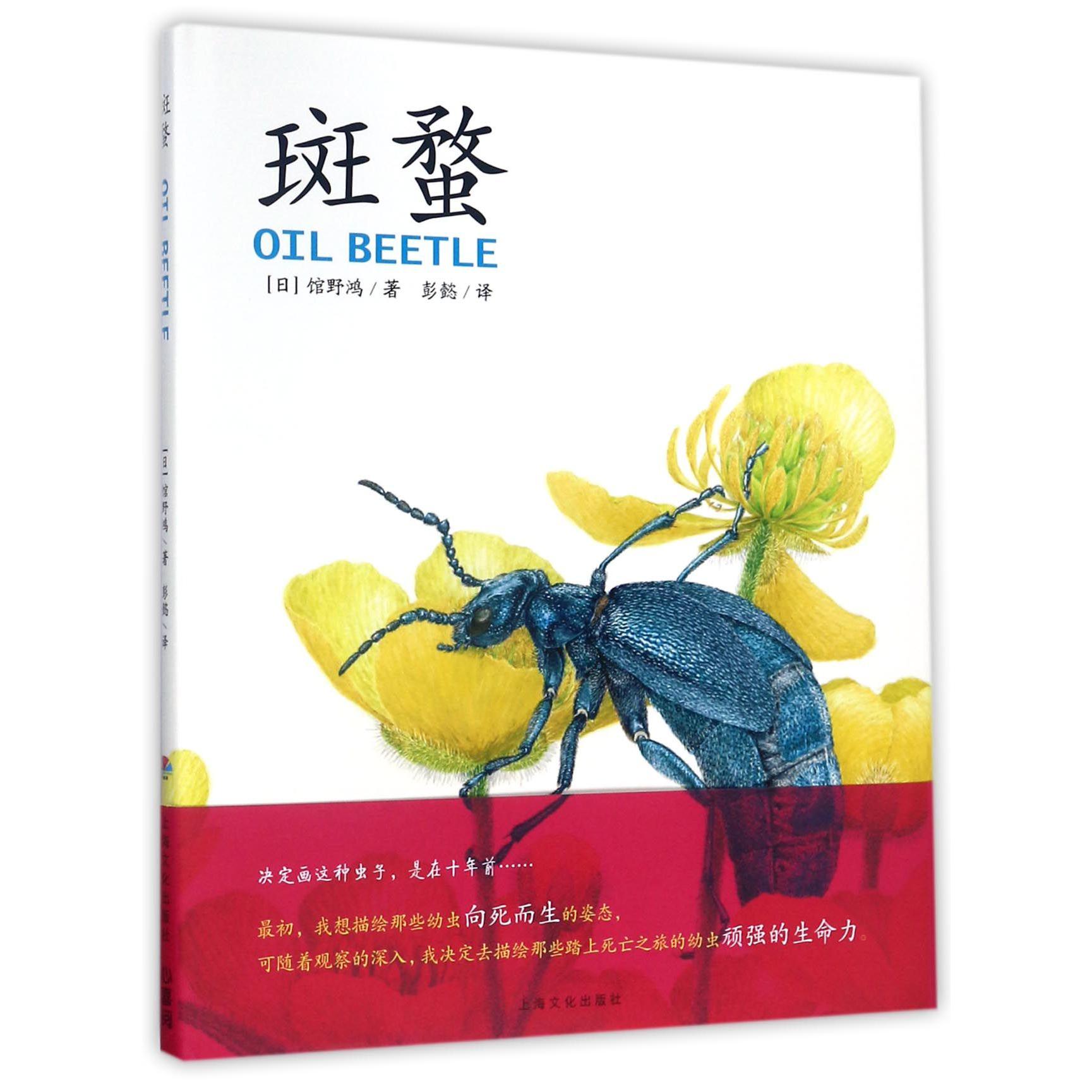 斑蝥(精)