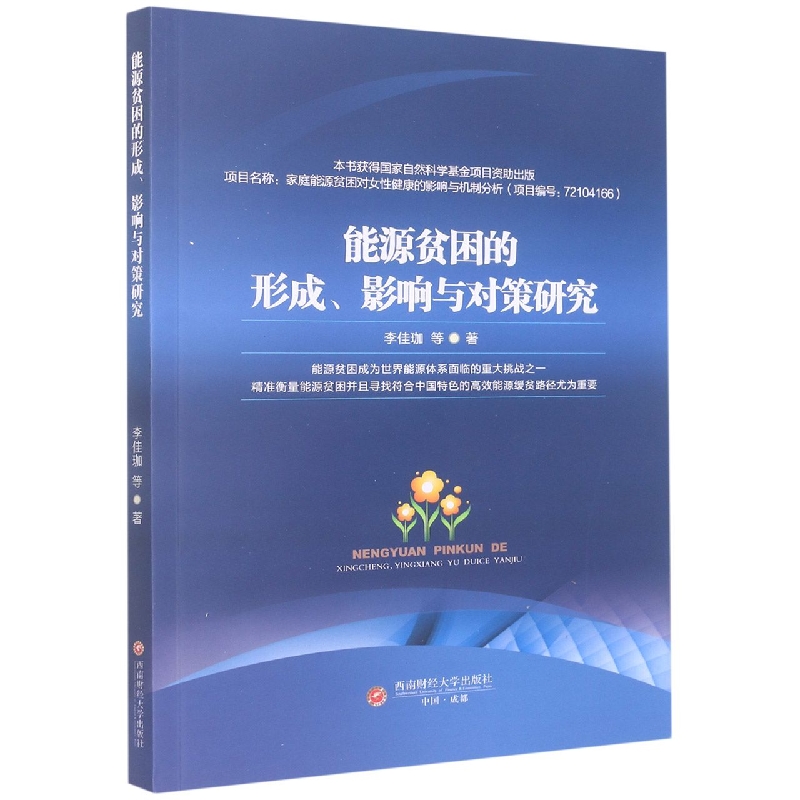能源贫困的形成、影响与对策研究