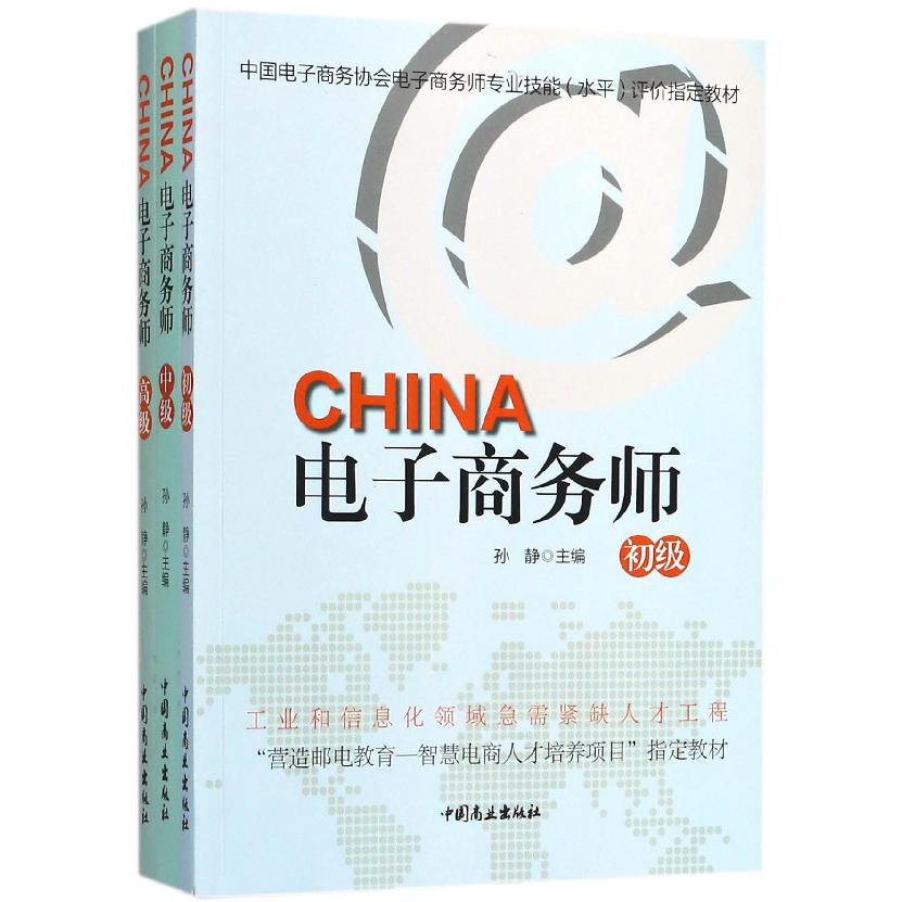 电子商务师(共3册中国电子商务协会电子商务师专业技能水平评价教材)...