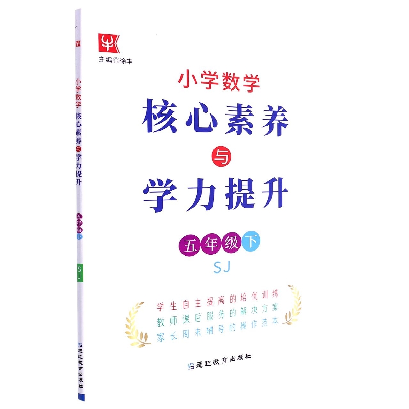 小学数学核心素养与学力提升（5下SJ）