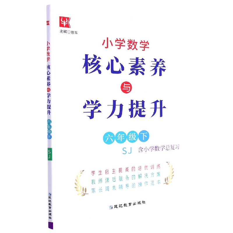 小学数学核心素养与学力提升  6年级下（苏教）