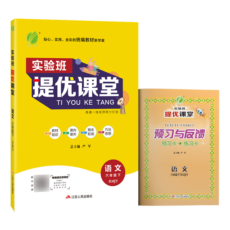 实验班提优课堂 六年级语文（下） 人教版 2023年春新版