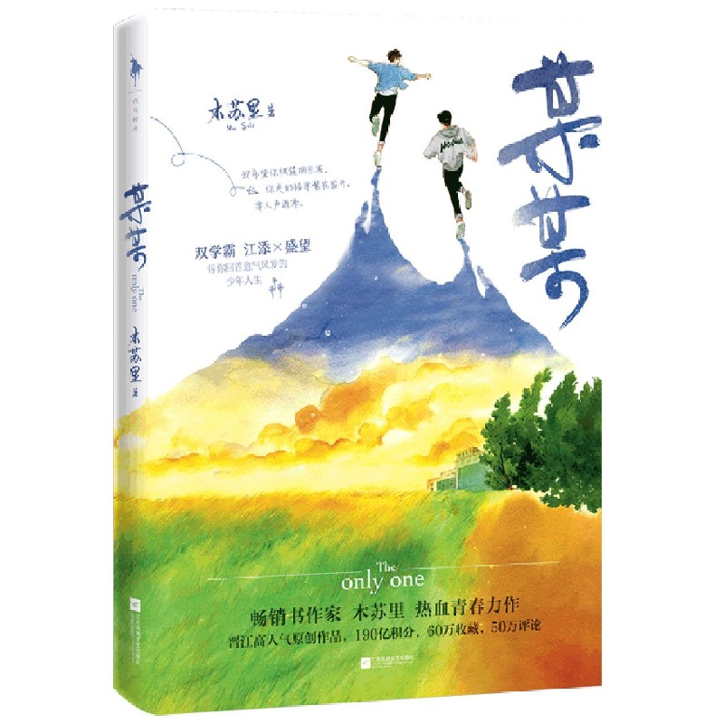 某某 飞机盒版