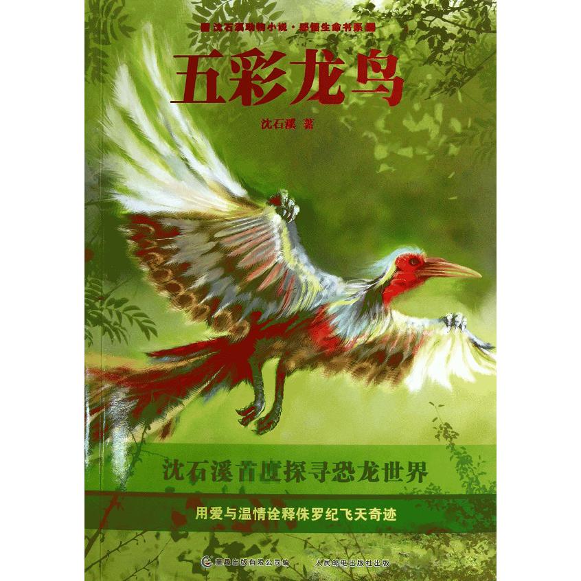 五彩龙鸟/沈石溪动物小说感悟生命书系