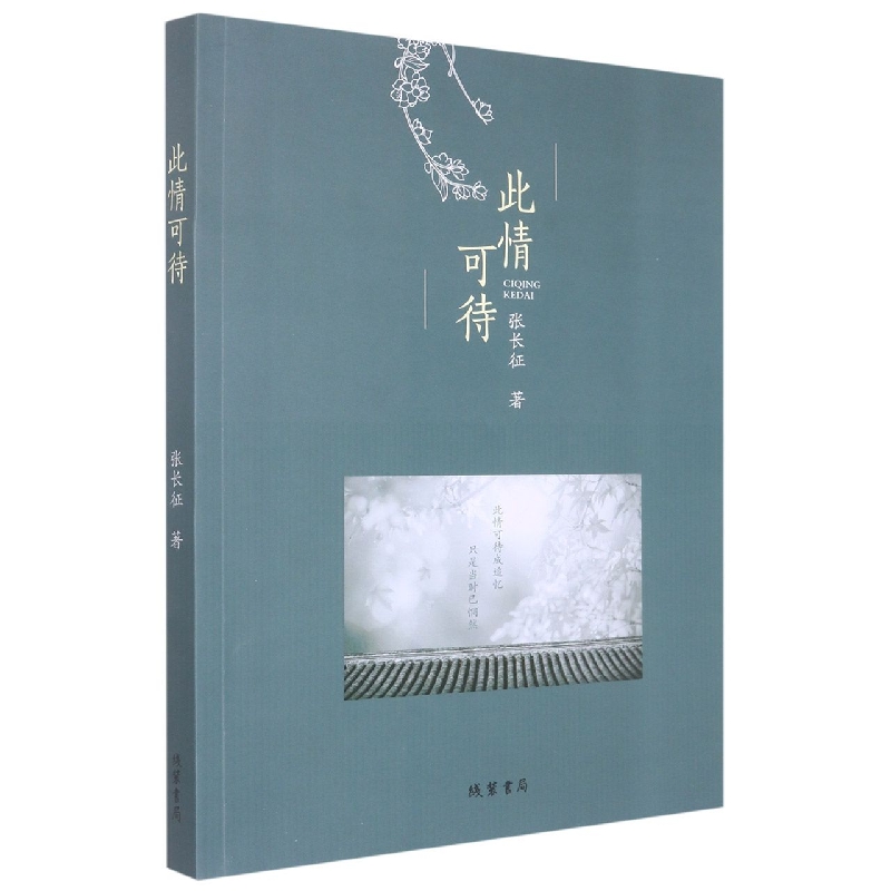 此情可待