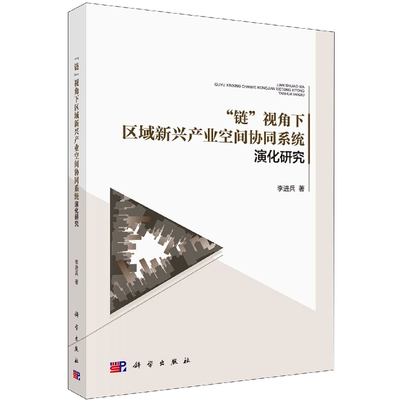 链视角下区域新兴产业空间协同系统演化研究
