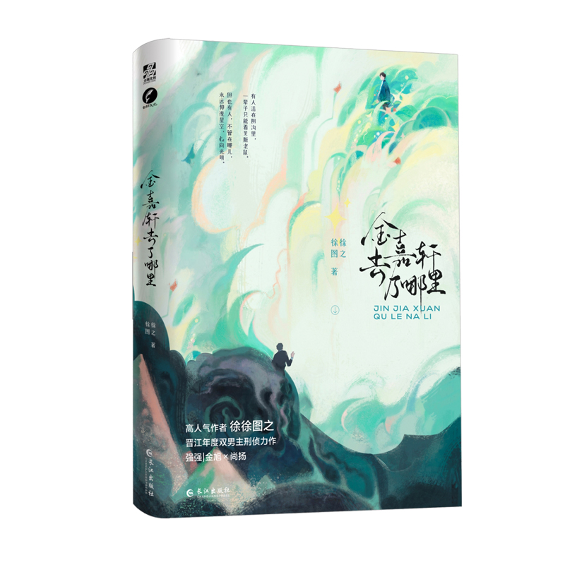 金嘉轩去了哪里（刑侦悬疑小说） 印特签本