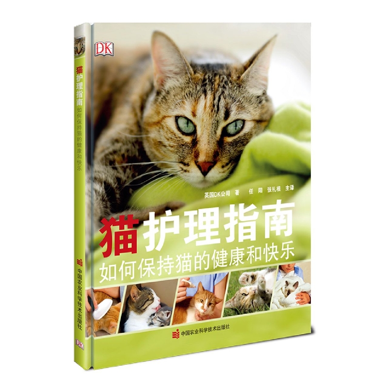猫护理指南：如何保持猫的健康和快乐
