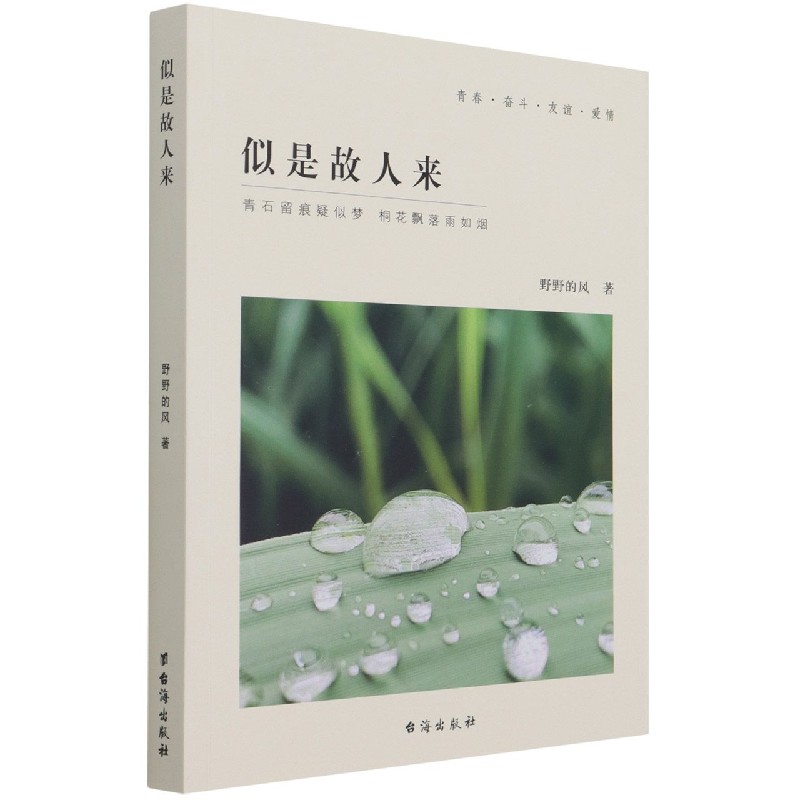 似是故人来