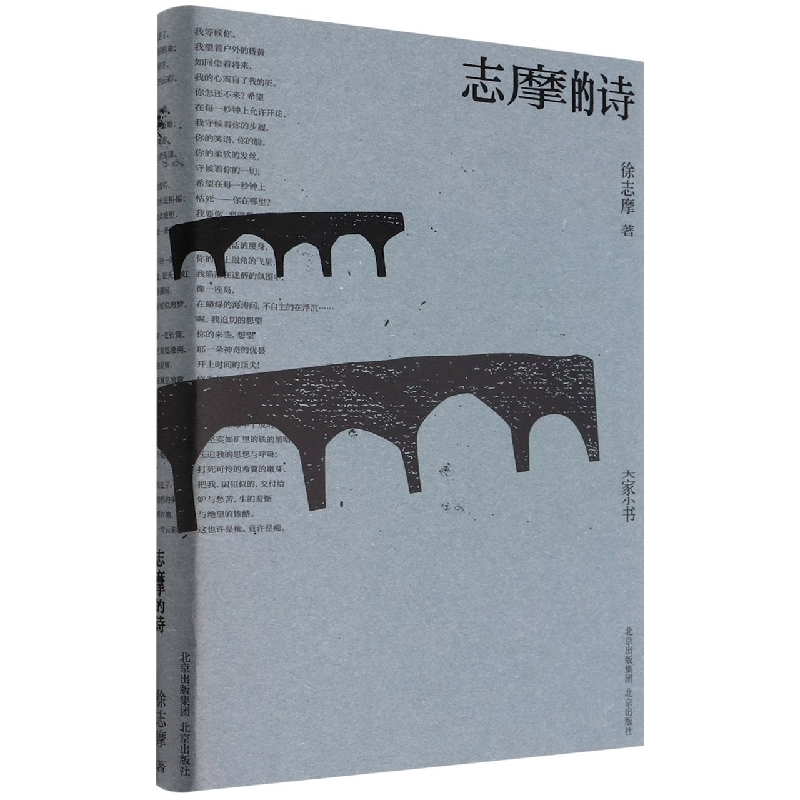 志摩的诗(精)/大家小书