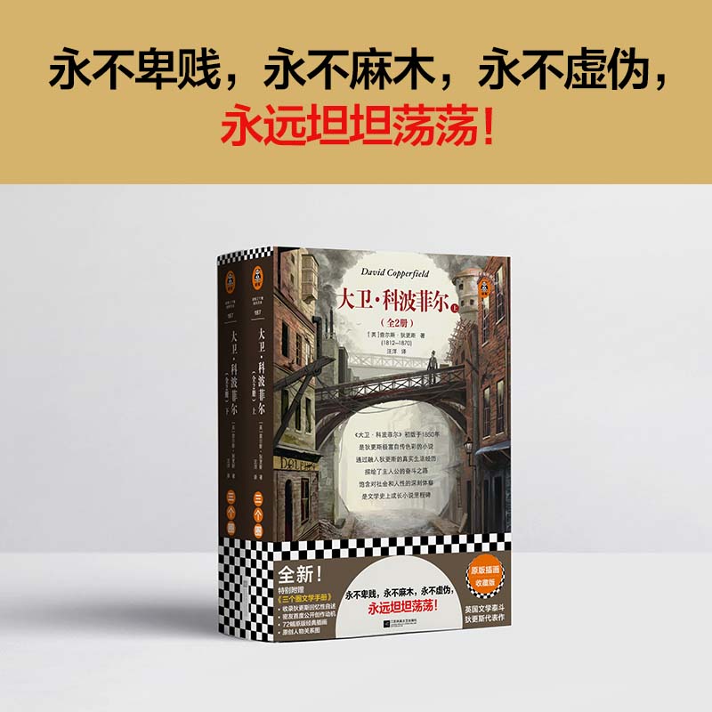 大卫·科波菲尔(全2册)