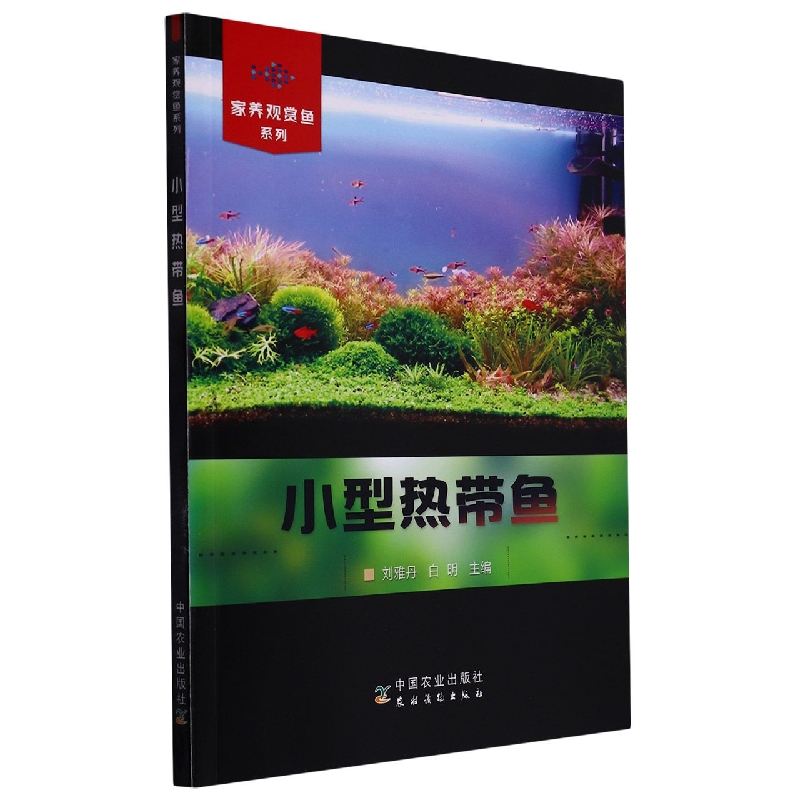 家养观赏鱼系列：小型热带鱼