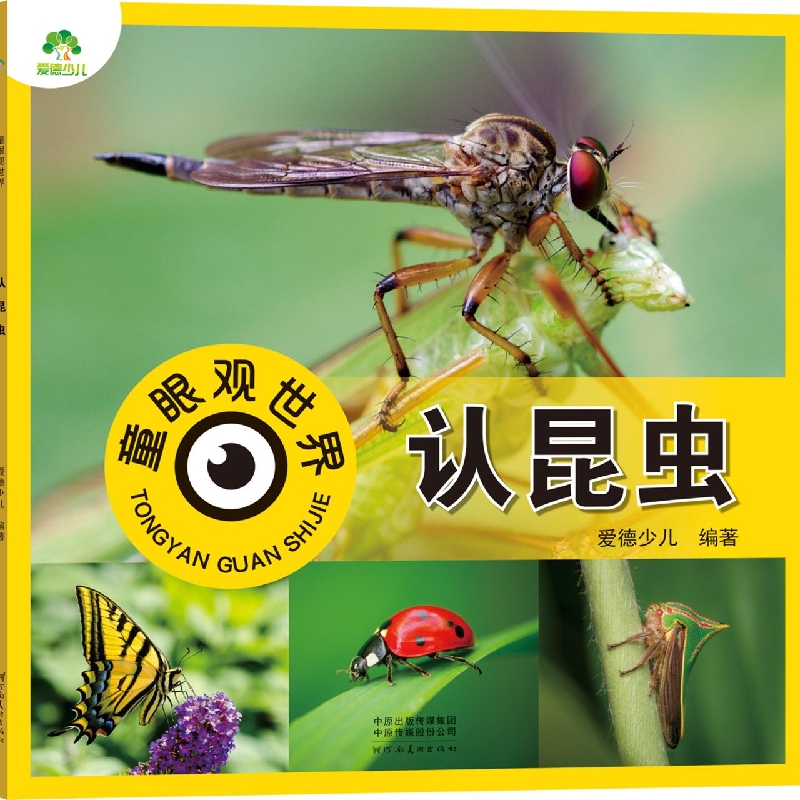 爱德少儿：童眼观世界·认昆虫