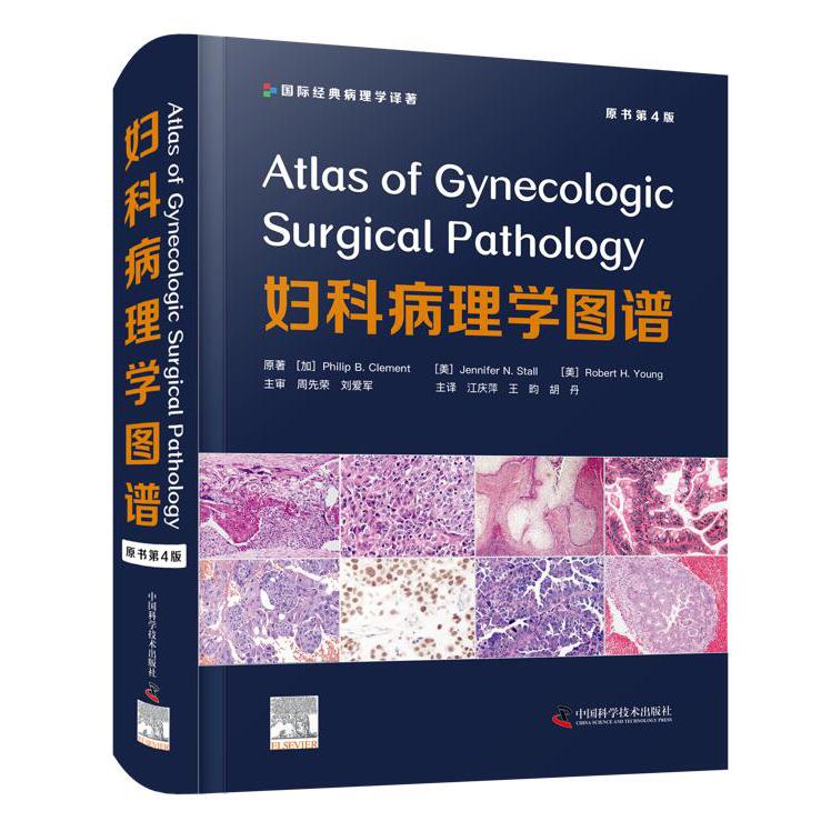 妇科病理学图谱(原书第4版)(精)/国际经典病理学译著