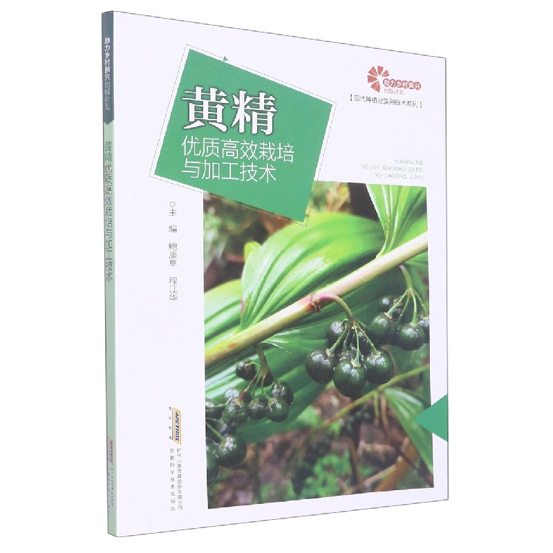 助力乡村振兴出版计划 现代种植业实用技术系列 黄精优质高效栽培与加工技术