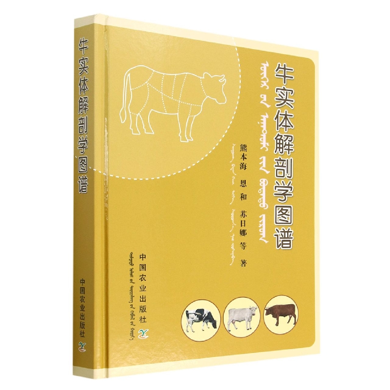 牛实体解剖学图谱