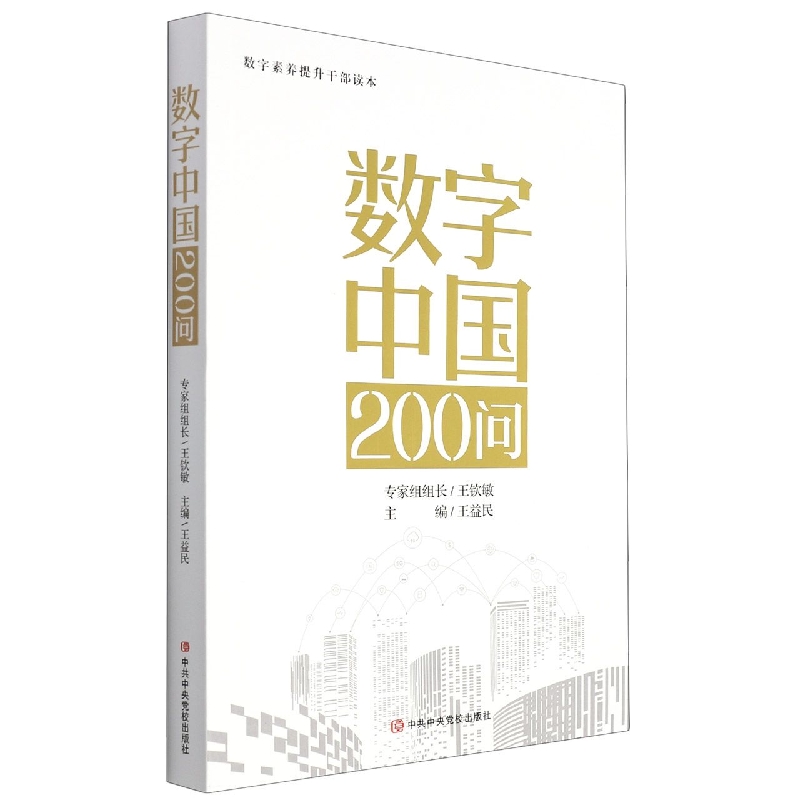 数字中国200问