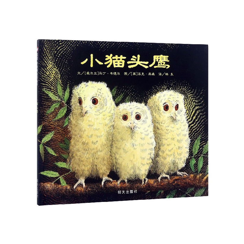 小猫头鹰(精)