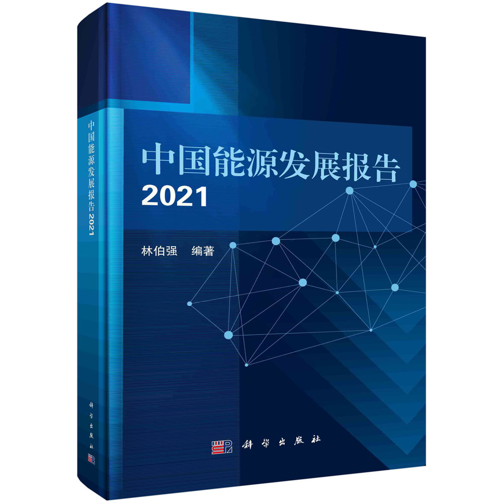 中国能源发展报告(2021)