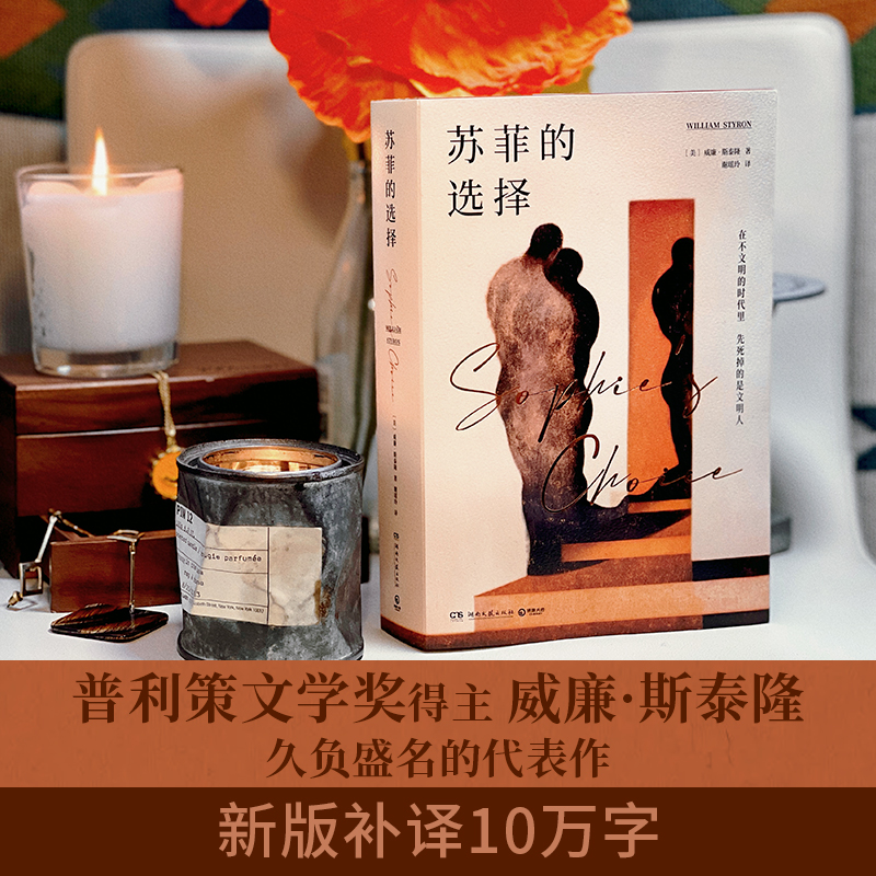 苏菲的选择