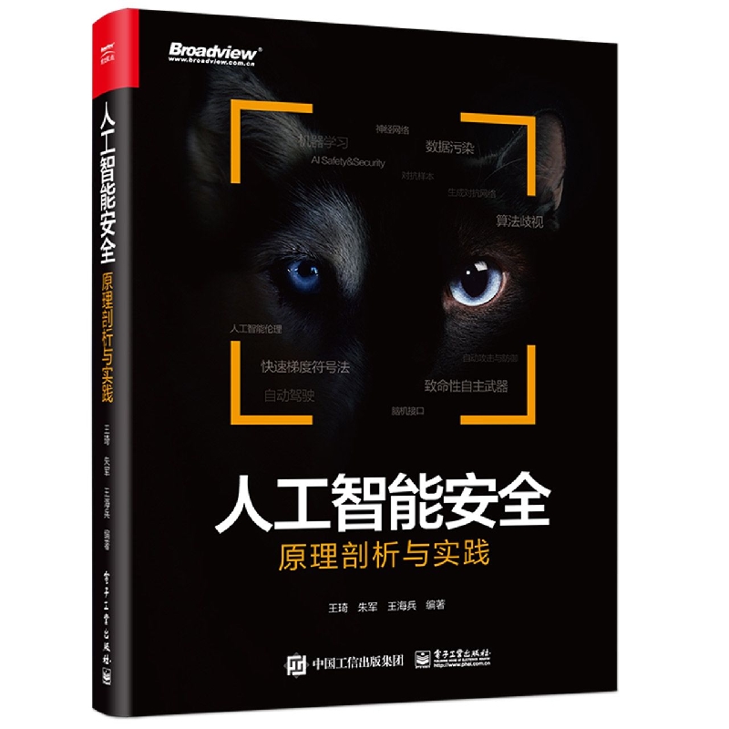 人工智能安全：原理剖析与实践