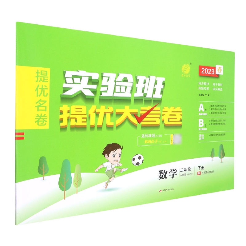 实验班提优大考卷 二年级数学(下) 人教版
