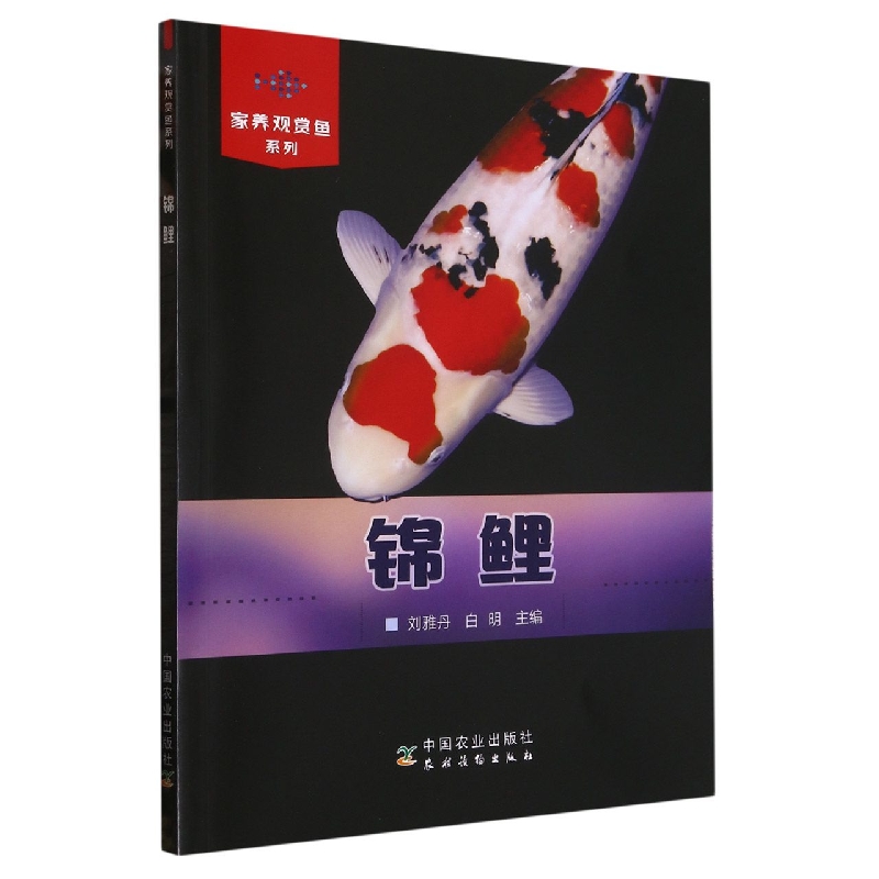 家养观赏鱼系列：锦鲤(家养观赏鱼系列)